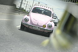 vw1971pinkpanter