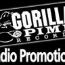 DJ GORILLA