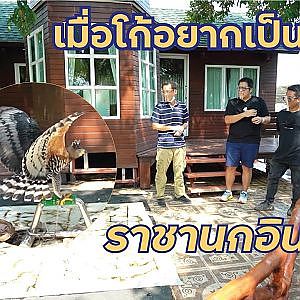 #GOODYEARF1 ราชานกอินทรีย์ ต้องสยบ! เมื่อเจอ กรงเล็บของโก้