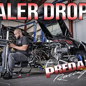 DEALER DROP-IN | Predator Performance