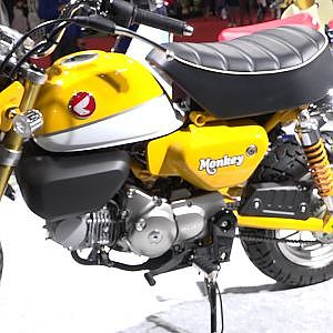 (HD)HONDA Monkey 125 ホンダモンキー125 - 名古屋モーターショー2017