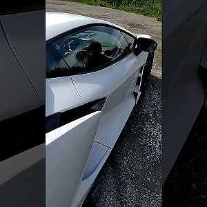 We spent last week testing the new £450,000 Lamborghini Revuelto! #carthrottle #shorts