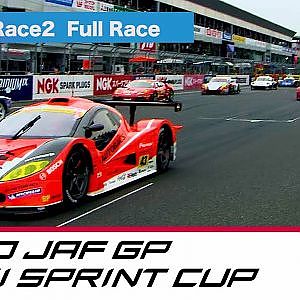 2010 JAF GP FUJI SPRINT CUP GT300 Race2