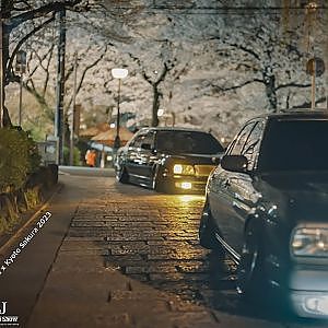 cinematic Y32 Cima x Kyoto Gion Sakura 2023